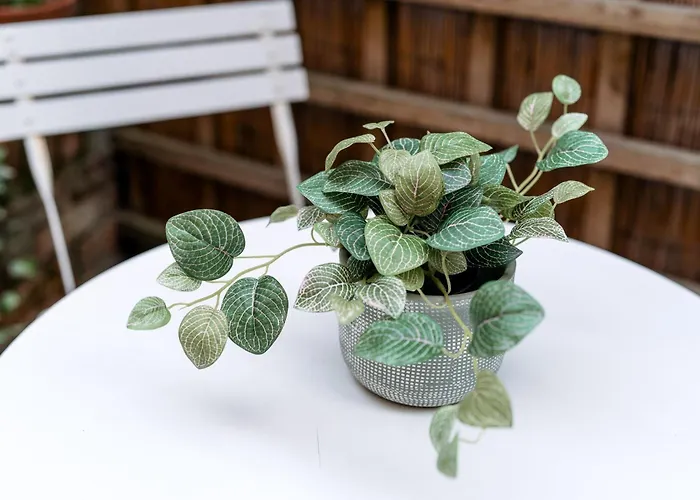 Unique, Stylish And Secluded Home, With Parking In The Heart Of Historic *