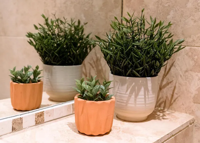 Appartement Unique, Stylish And Secluded Home, With Parking In The Heart Of Historic