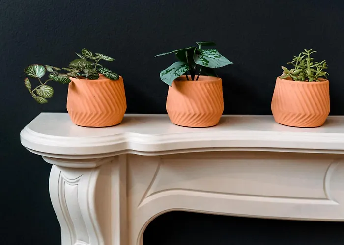 Unique, Stylish And Secluded Home, With Parking In The Heart Of Historic York