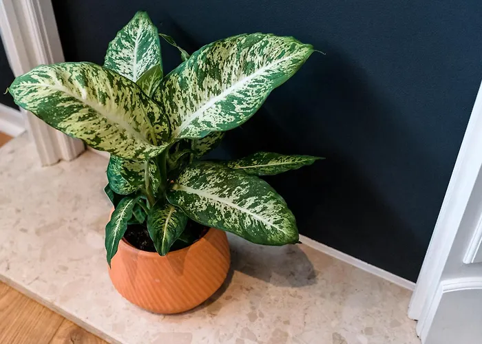 Unique, Stylish And Secluded Home, With Parking In The Heart Of Historic Appartement *