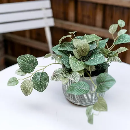 Unique, Stylish And Secluded Home, With Parking In The Heart Of Historic *