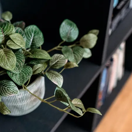 Apartment Unique, Stylish And Secluded Home, With Parking In The Heart Of Historic York