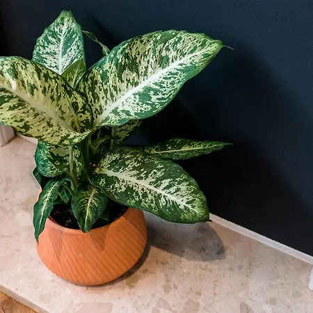 Unique, Stylish And Secluded Home, With Parking In The Heart Of Historic Apartment *